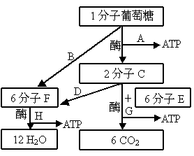 圖是有氧呼吸過程的圖解,根據圖解回答有關問題