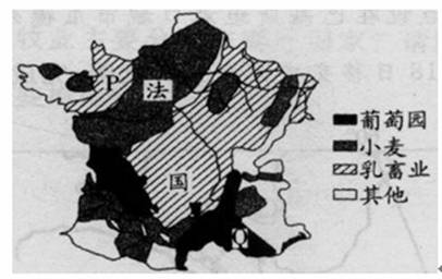 读法国农业分布图,回答36～37题