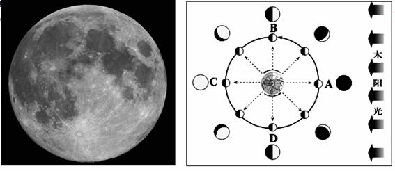 讀月球正面照片和月相成因示意圖,回答問題.(18分)