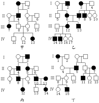 遗传系谱图题图片