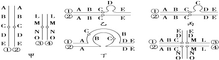 若圖甲中①和②為一對同源染色體,③和④為另一對同源染色體,圖中字母
